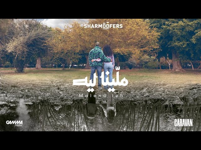 كلمات اغنية ملينا ليه شارموفرز