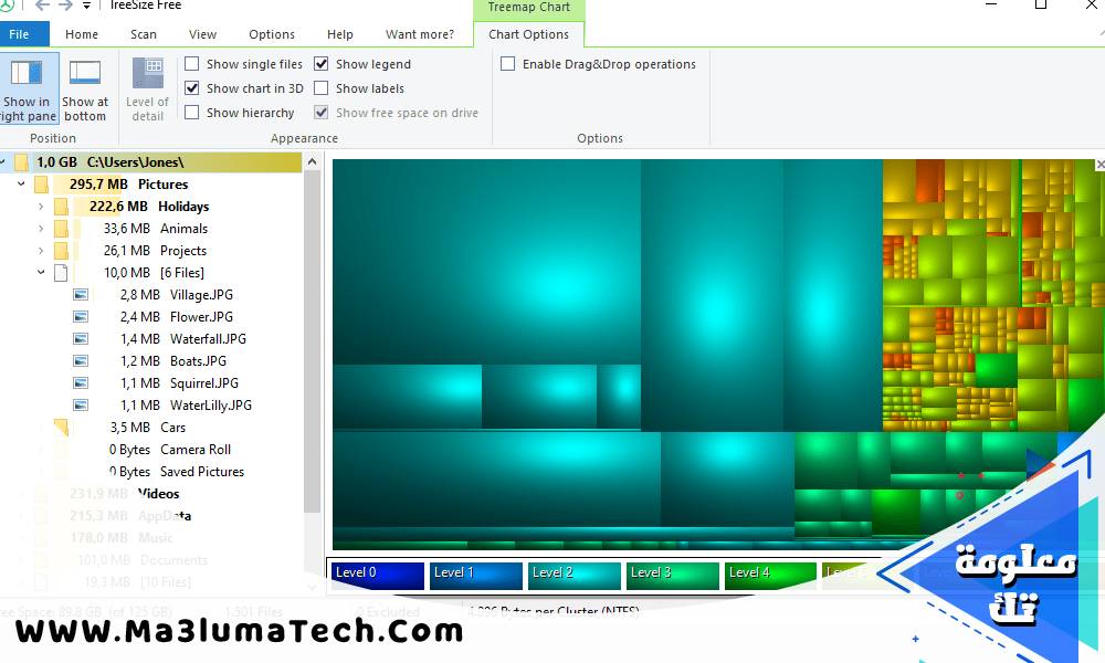 TreeSize Professional (2)